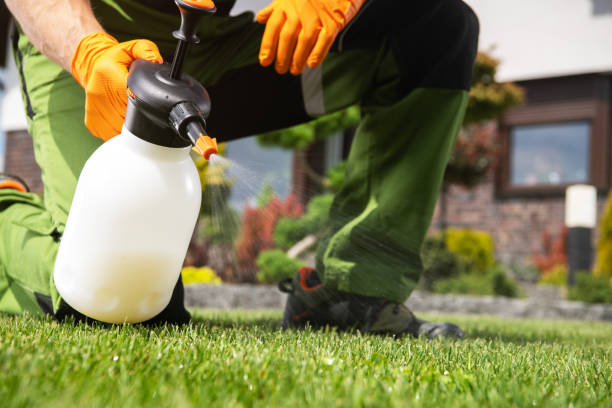 Professional Pest Control in San Felipe, TX