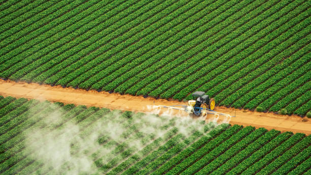 San Felipe, TX Pest Control Company