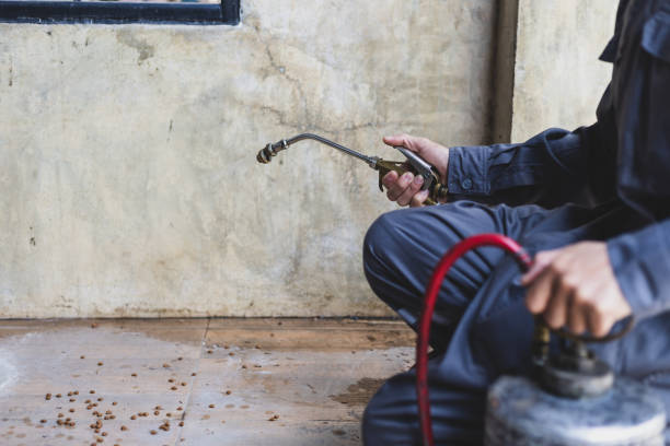 Best Best Pest Control Companies  in San Felipe, TX